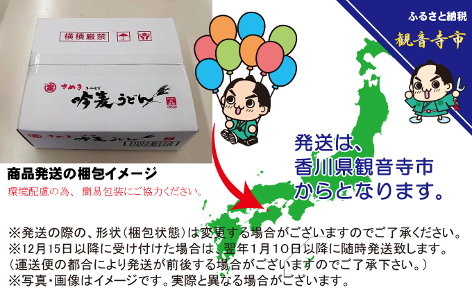 「さぬき半生」 讃岐吟麦うどん 30人前 300g×10袋 麺類 