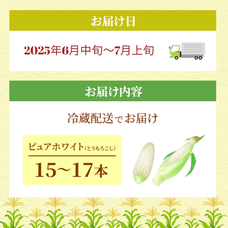 《糖度18度以上》スイートコーン とうもろこし ピュアホワイト 15～17本 ※お届け：2025年6月中旬～7月上旬 野菜