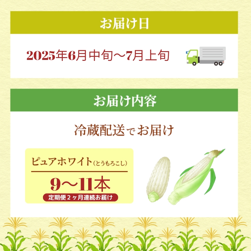 《糖度18度以上》スイートコーン とうもろこし ピュアホワイト【2ヶ月連続お届け】9～11本入×2回 ※お届け：2025年6月中旬～7月上旬 野菜