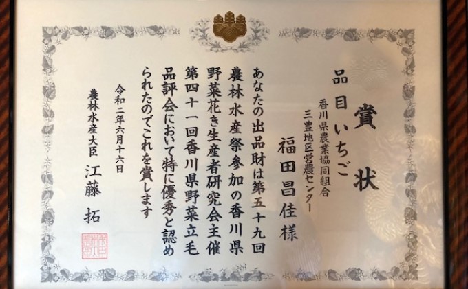 福田さんちのイチゴ(さぬきひめ) 3L サイズ 800g以上 ギフトボックス２箱【配送不可：北海道、沖縄県、離島エリア】苺 農園直送 いちご採れたて直送