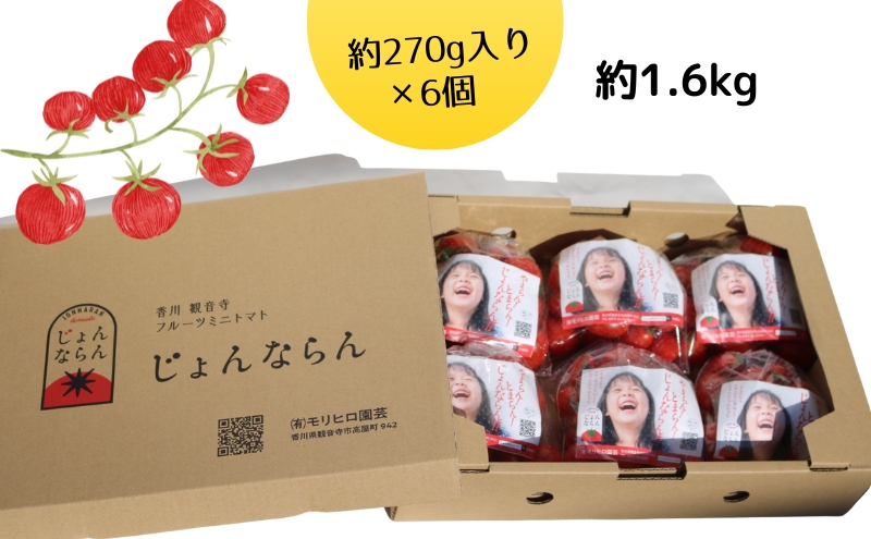 モリヒロ園芸が育てたじょんならんトマト（ご自宅用ボックス）