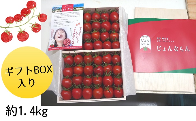 モリヒロ園芸が育てたじょんならんトマト（ギフトボックス入り） 野菜 ミニトマト サラダ 糖度高め 甘味 酸味 リコピン