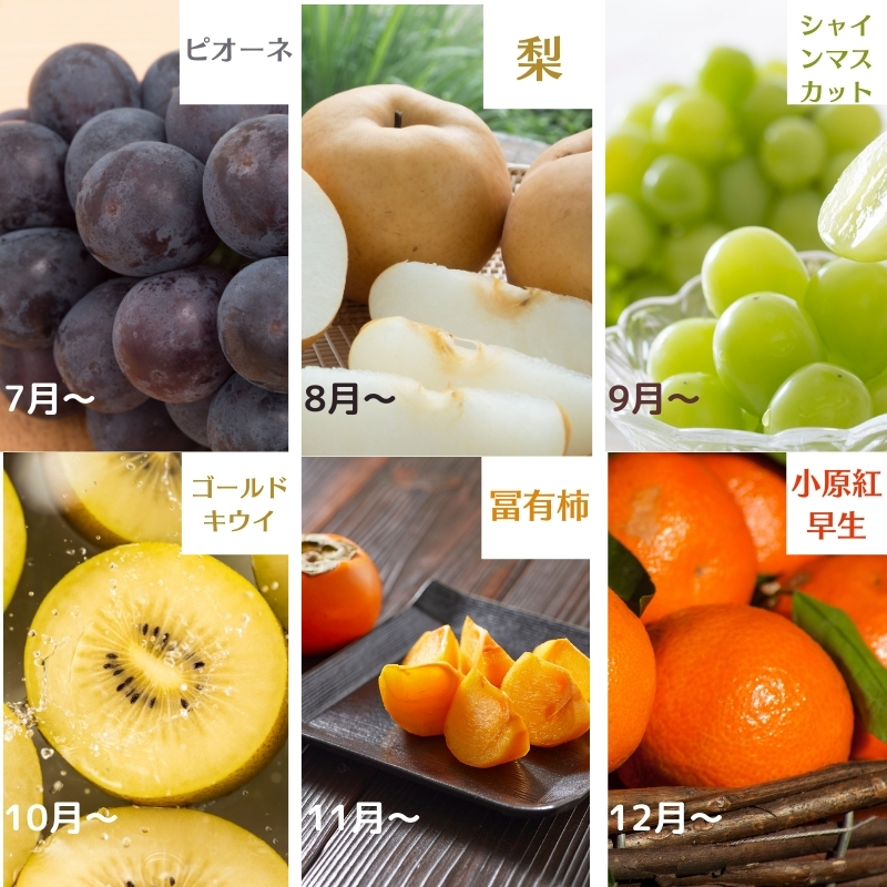 四季折々旬味覚！12ヶ月連続単品定期便♪