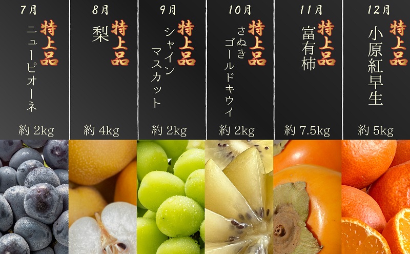 【数量限定！】旬の見極めこの一品！プレミアム等級選果の12ヶ月連続単品定期便♪