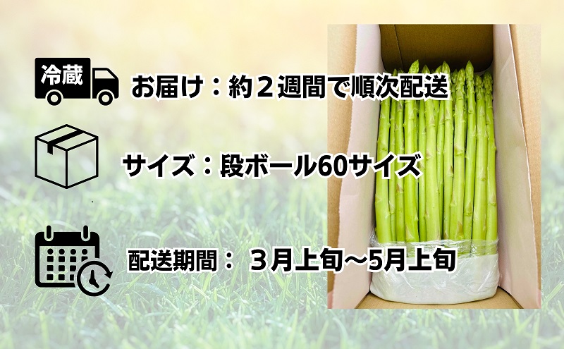 朝採れ アスパラ【さぬきのめざめ】春芽 2Lサイズ　約1kg （25～30本）