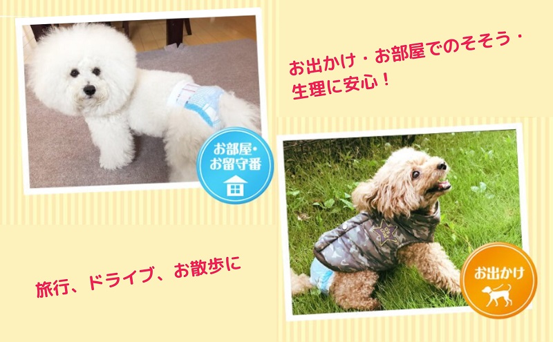 マナーウエア 女の子用 SS モーヴピンクドット・ピンクチェック 38枚×4