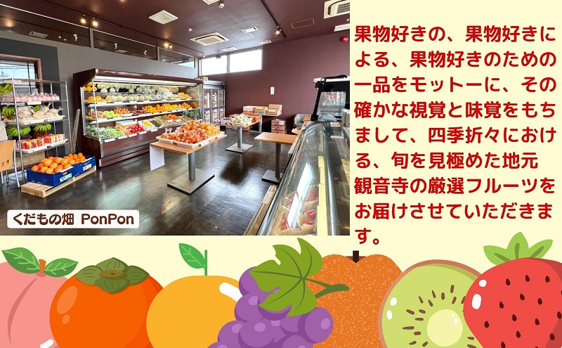 【2026年8月中旬より順次発送】 極撰！大房シャインマスカット 1房（約750g） 果物 ぶどう フルーツ 飴色 輝く 高糖度 風味 果皮 口どけ パリッ ジューシー 果肉 種なし パクパク 老舗 果物屋