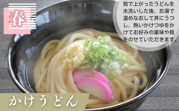 【年4回定期便】さぬきうどん 半生 （30人前）3人前×10袋  