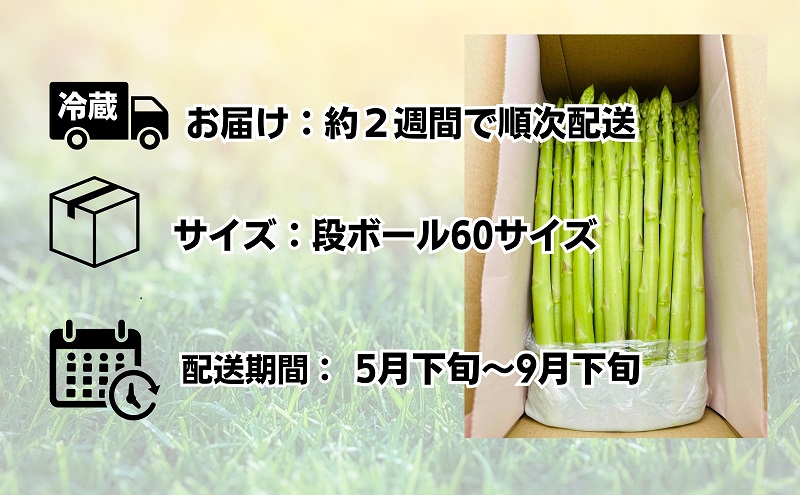 朝採れ アスパラ【さぬきのめざめ】夏芽 2Lサイズ　約1kg （