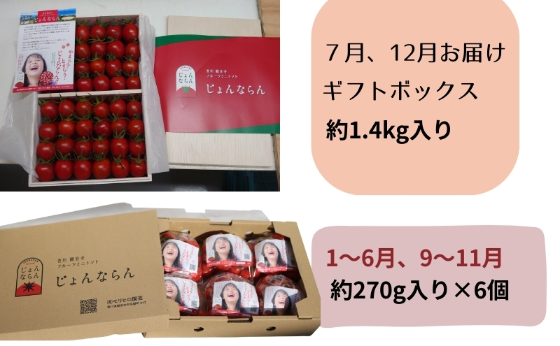 モリヒロ園芸が育てたじょんならんトマトの定期便（年間11