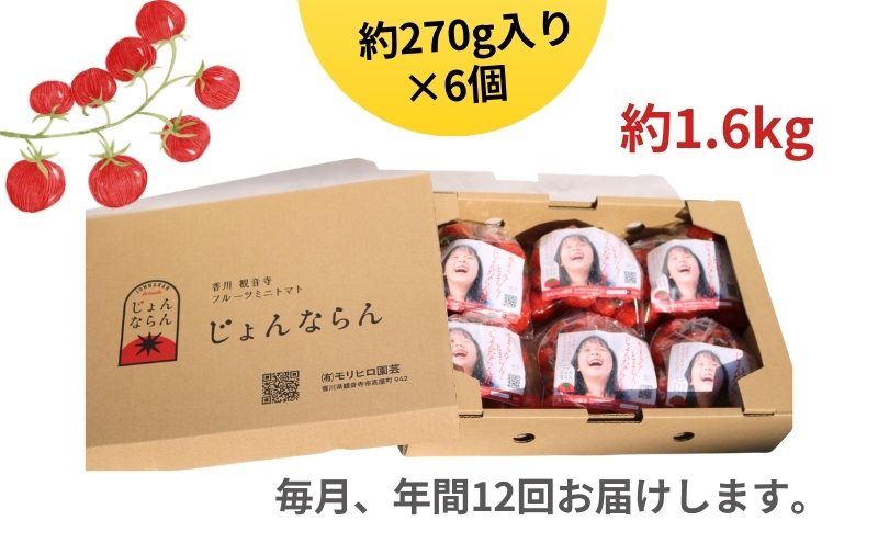 モリヒロ園芸が育てたじょんならんトマトの12ヶ月定期便 