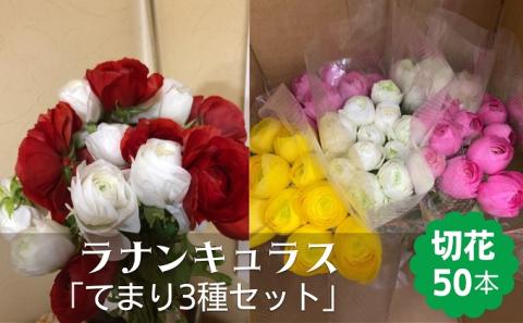 ラナンキュラス「てまり3種セット」切花50本