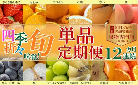 四季折々旬味覚！12ヶ月連続単品定期便♪