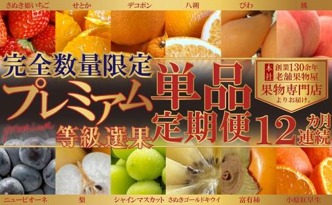 【数量限定！】旬の見極めこの一品！プレミアム等級選果の12ヶ月連続単品定期便♪