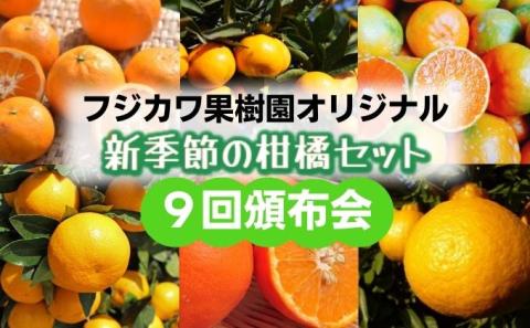 【9回頒布会】フジカワ果樹園オリジナル・新季節の柑橘セット