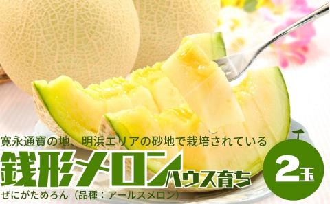 温室メロン（銭形メロン）2玉入り 果物 メロン青肉 フルーツ 温室育ち アールスメロン おやつ デザート 食後 国産 香川県産 観音寺市産