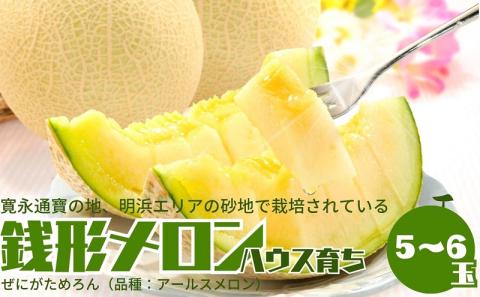 温室メロン（銭形メロン）5～6玉入り 果物 メロン青肉 フルーツ 温室育ち アールスメロン おやつ デザート 食後 国産 香川県産 観音寺市産