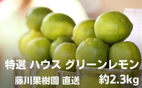 【2025年 先行予約】みどり認定 ハウス栽培グリーンレモン 約2.3kg 国産レモン 香川 果物類／柑橘類／みかん レモン