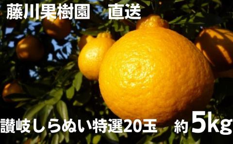 2026年先行予約 味自慢！！讃岐しらぬひ　特選20玉 約5kg 果物類 みかん 柑橘類