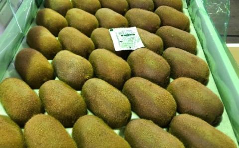 香川県オリジナルキウイ「香緑（こうりょく）」約3kg  果実 キウィ 甘い 讃岐 フルーツ 果物詰合せ