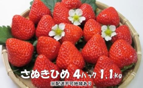 上品でかわいい “ いちご ”【 さぬきひめ 1.1kg】 観音寺市産 【配送不可地域：沖縄・北海道・離島】