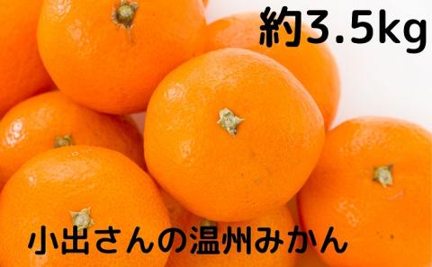 小出さんの温州 みかん 約3.5kg 果物類 柑橘類 フルーツ