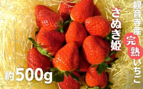 数量限定　苺狩りの食味をお届け！観音寺産完熟いちご（さぬき姫）約500g