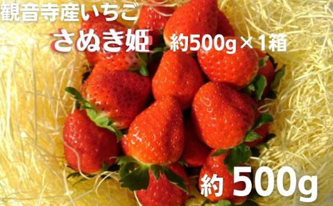 数量限定　観音寺産いちご（さぬき姫）バラ詰め約500g×1箱