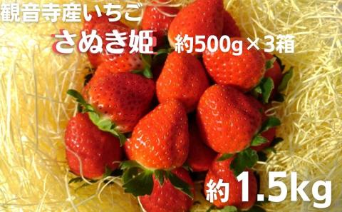 数量限定　観音寺産いちご（さぬき姫）バラ詰め約1.5kg（約500g×3箱）
