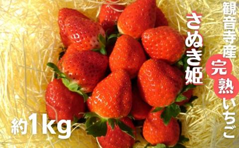 数量限定　苺狩りの食味をお届け！観音寺産完熟いちご（さぬき姫）約1kg