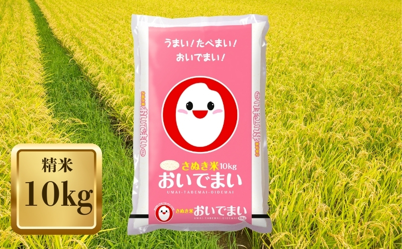 【令和7年産】　香川のお米 おいでまい 10kg お米 精米