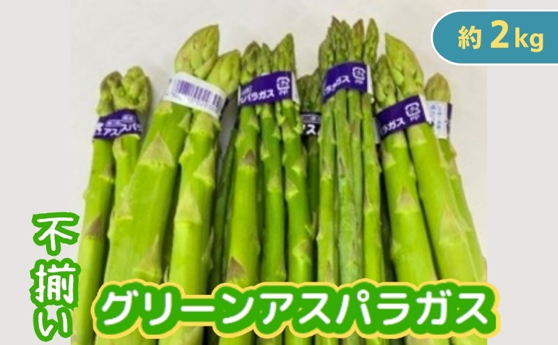不揃い グリーン アスパラガス 約2kg 野菜 グリーンアスパラ