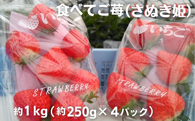 食べてご苺（さぬき姫）約1kg（約250g×4パック） 果物類 い