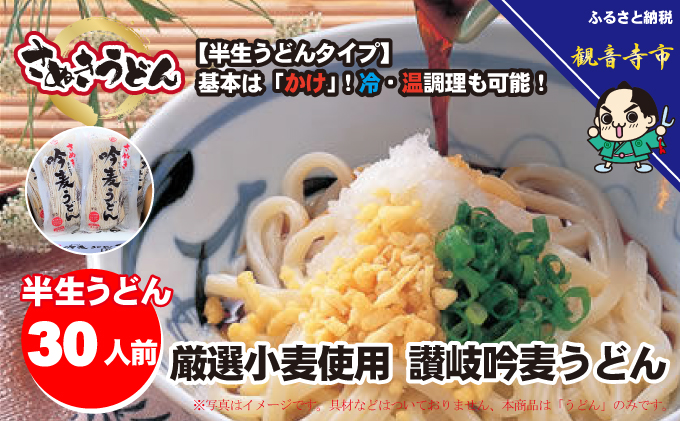 「さぬき半生」 讃岐吟麦うどん 30人前 300g×10袋 麺類 