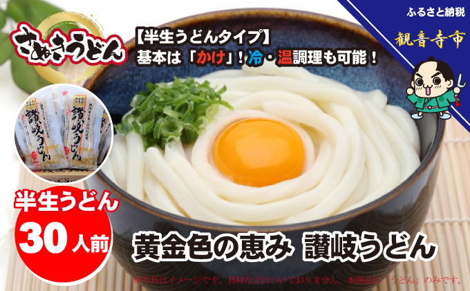 「さぬきうどん半生」 黄金色の恵み 讃岐うどん 30人前 300g