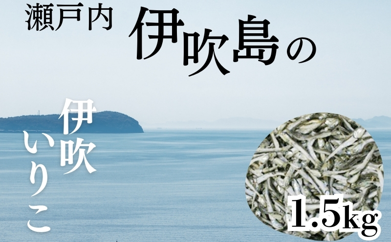 	伊吹いりこ 1.5kg　出汁 さぬき特産 魚貝 魚介類