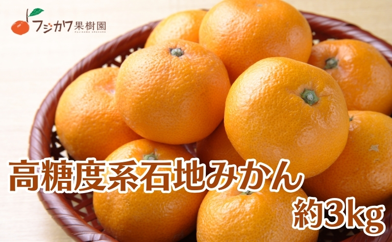 2026年冬よりお届け 高糖度系石地みかん 約3kg 柑橘類 フルーツ 果物 ミカン