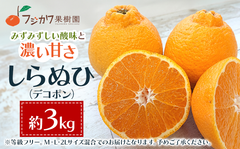 2026年先行予約 味自慢！讃岐 しらぬひ　約3kg 果物類 みかん 柑橘類 デコポン