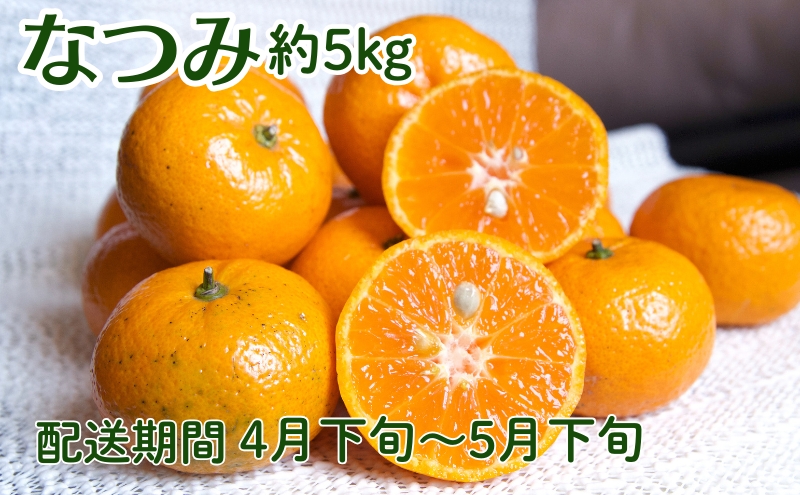 なつみ（カラマンダリン）約5kg 果物類 柑橘類 みかん フルーツ