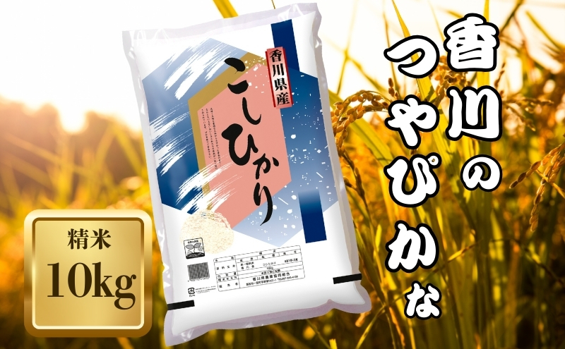 【令和7年産】　香川県産 コシヒカリ 10kg お米 精米