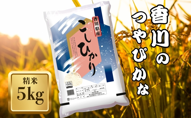 【令和7年産】　香川県産 コシヒカリ 5kg お米 精米