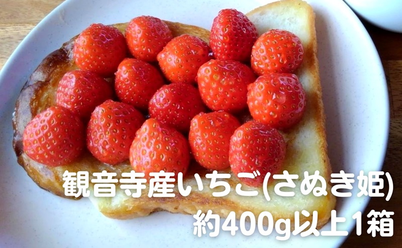 数量限定　観音寺産いちご(さぬき姫)400g以上×1箱 讃岐の美味しい苺 イチゴ 果物類 フルーツ