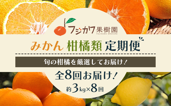 頒布会 彩り柑橘 8回定期便