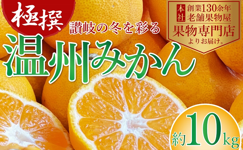 【2025年11月上旬より順次発送】極撰！温州みかん　約10kg 果物 柑橘 フルーツ 程よい酸味 ジューシー 甘い 国産 日本産 冬の味覚 冬の果物 冬のフルーツ