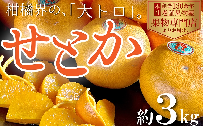 【2026年2月上旬より順次発送】柑橘界の大トロ！せとか　約3kg 果物 フルーツ 国産 日本産 冬の味覚 冬の果物 冬のフルーツ 観音寺市産