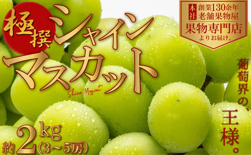 【2026年先行予約 極撰】シャインマスカット　約2kg（3～5房） 果物 ぶどう フルーツ デザート 食後 国産 日本産 産地直送 ジューシー 種なし 観音寺産