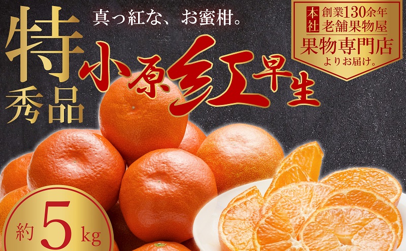 【2025年11月中旬より順次発送】極撰！真っ赤なみかんの小原紅早生 約5kg 果物 フルーツ 柑橘 デザート おやつ 食後 国産 日本産 産地直送 香川オリジナル品種 食べ物