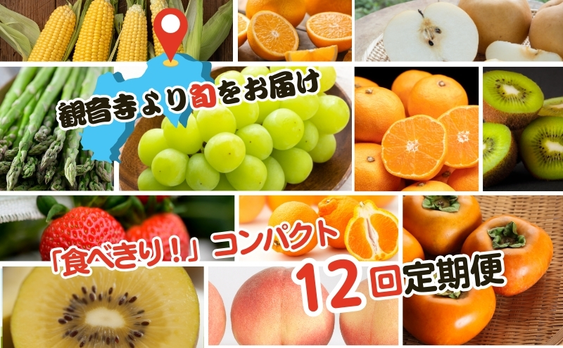 【2025年受付】ご家庭用 食べきり 旬菜旬果フルーツ定期便 全12回