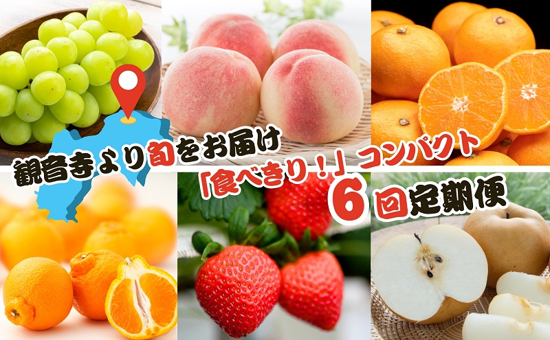 【2025年受付】ご家庭用 食べきり 旬果フルーツ定期便 全6回