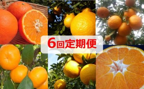 [6回頒布会]フジカワ果樹園オリジナル・新季節の柑橘セット